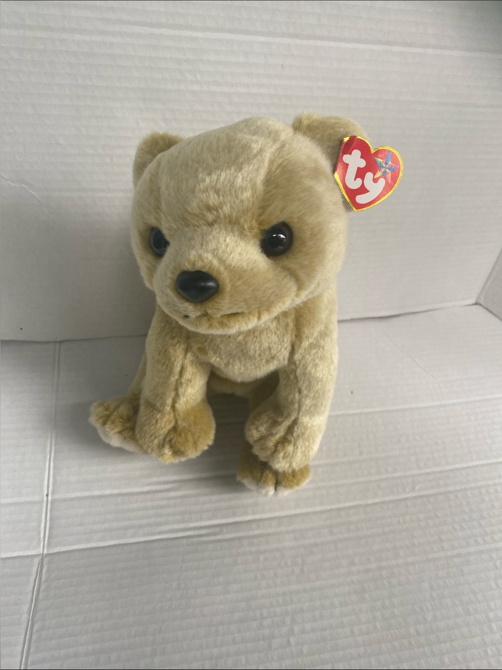 Vintage 2001 Ty Beanie Buddies Almond The Bear Plush 12" ☀️